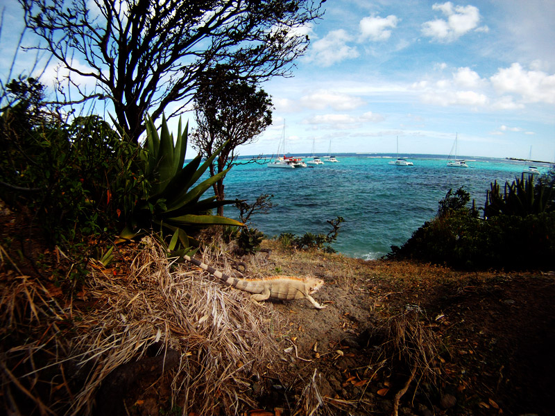 GOPR0131