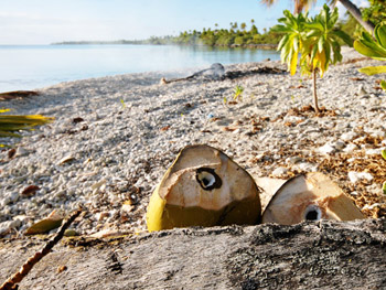 Tuamotus_spot