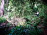 DSC00110