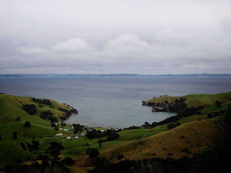 DSC00429