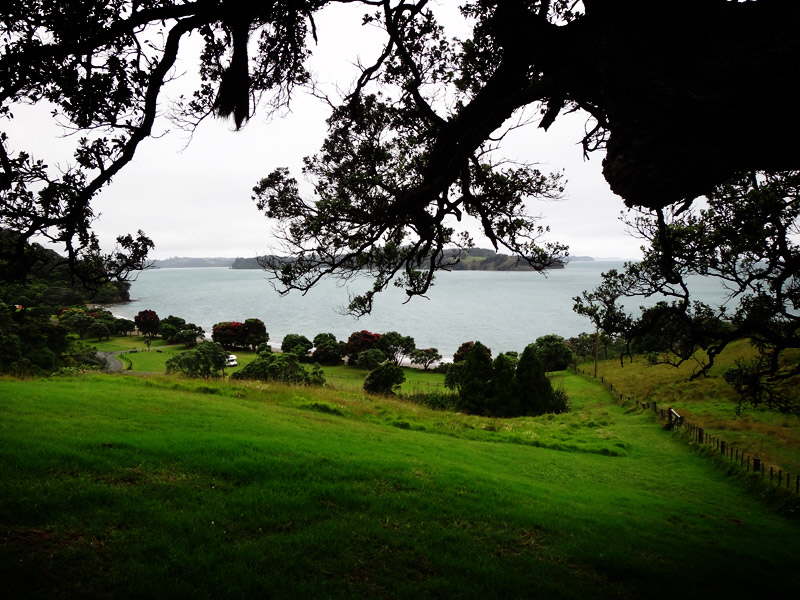 DSC00444