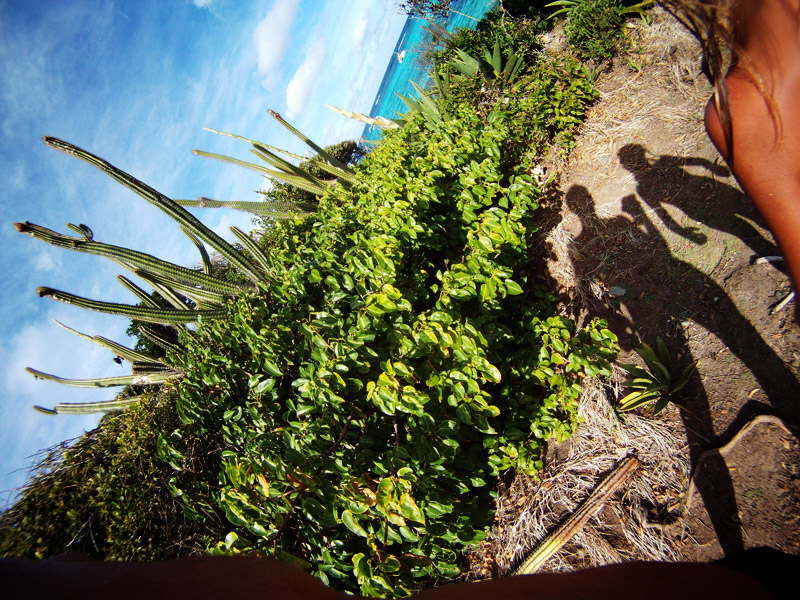 GOPR0111