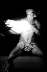 Ilddans_Samoa_17