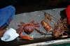 San Blas Islands