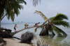 San Blas Islands