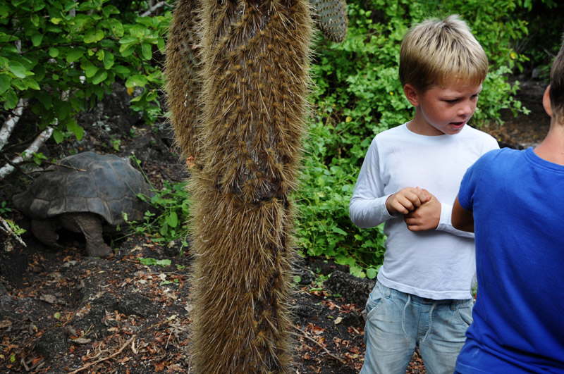 Jakob og Emil i vildmarken med skildpadder.