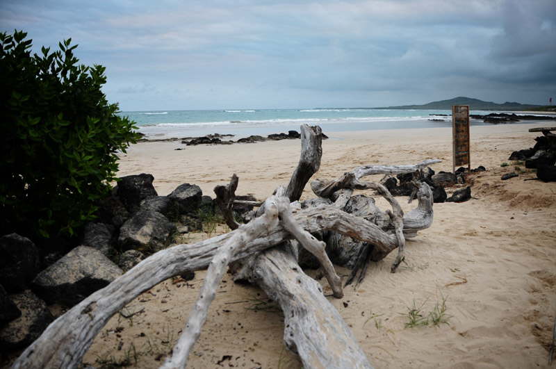 Stranden foran hotellet.