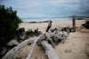 Stranden foran hotellet.