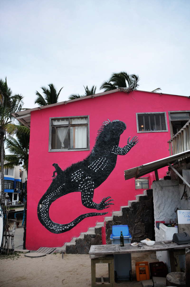 Hotel Iguana.