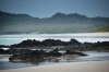 Strand p Isabela, Galapagos.