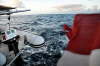 Stillehavet.