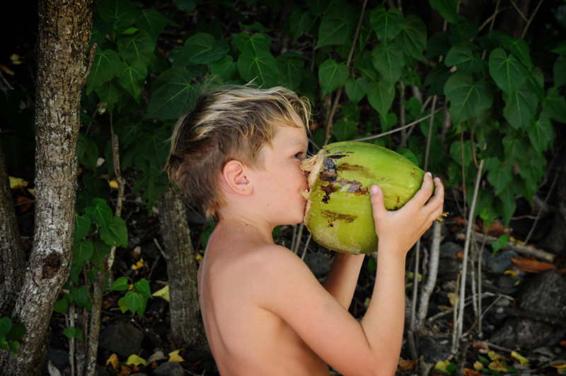 Skn, frisk kokosmlk.