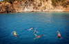 Snorkling p St. Barts. Der var bde skildpadder og hajer.