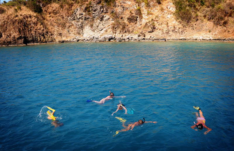 Snorkling p St. Barts. Der var bde skildpadder og hajer.