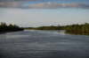 Gennem mangroven p Guadeloupe