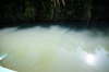 Fisk i Indian River