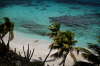 Beach, beach, beach...