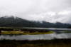 New Zealand.