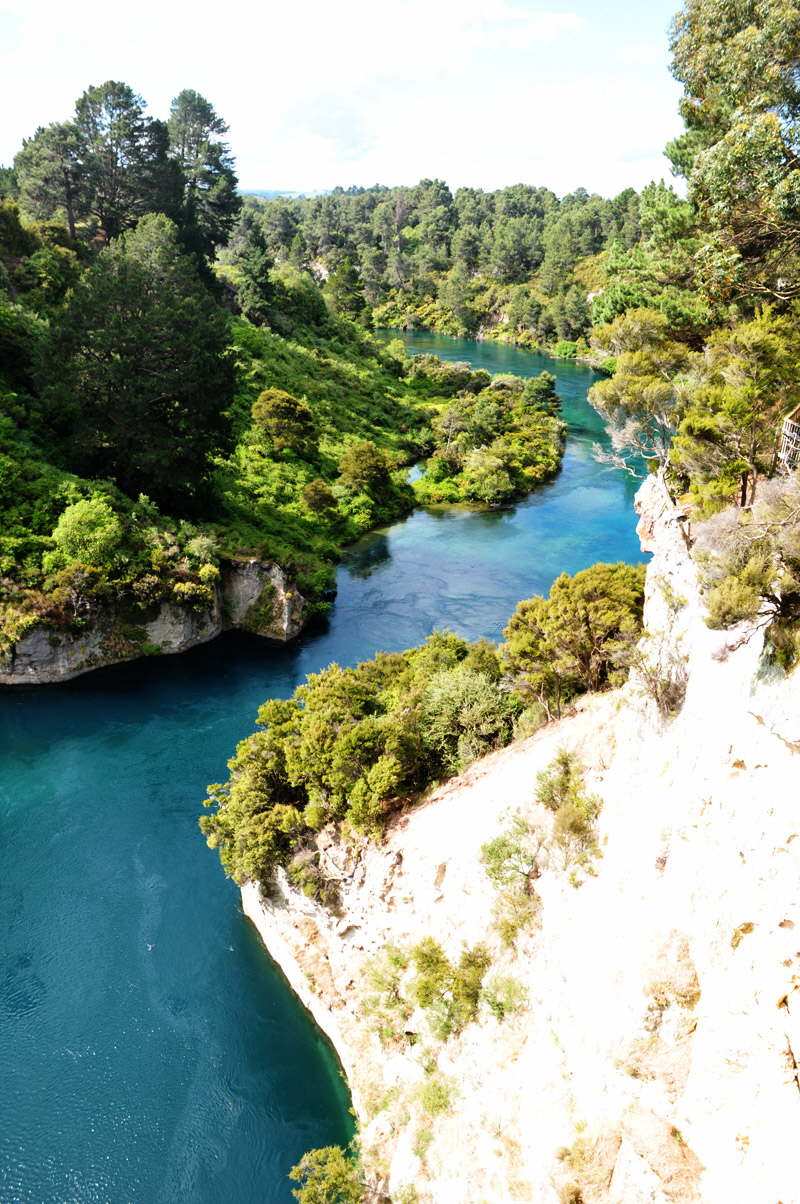 Bungy Jump?