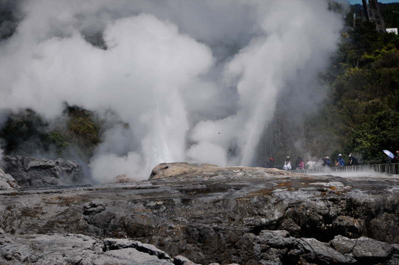 Geyser i Rotorua.