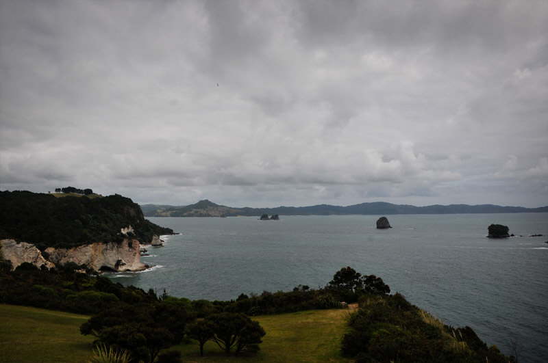 New Zealand, Coromandel.