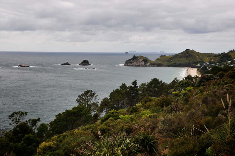 New Zealand, Coromandel.