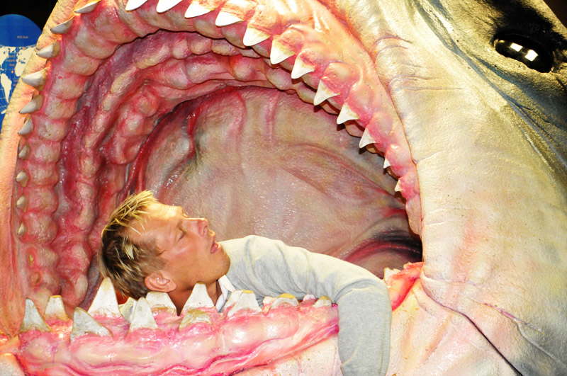 Lars i et hajgab i fiskeakvariet Kelly Tarltons i Auckland.